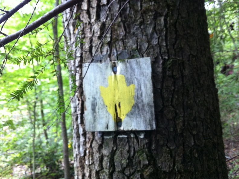 Yahoo Falls, Big South Fork